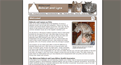 Desktop Screenshot of bobcatsmt.com